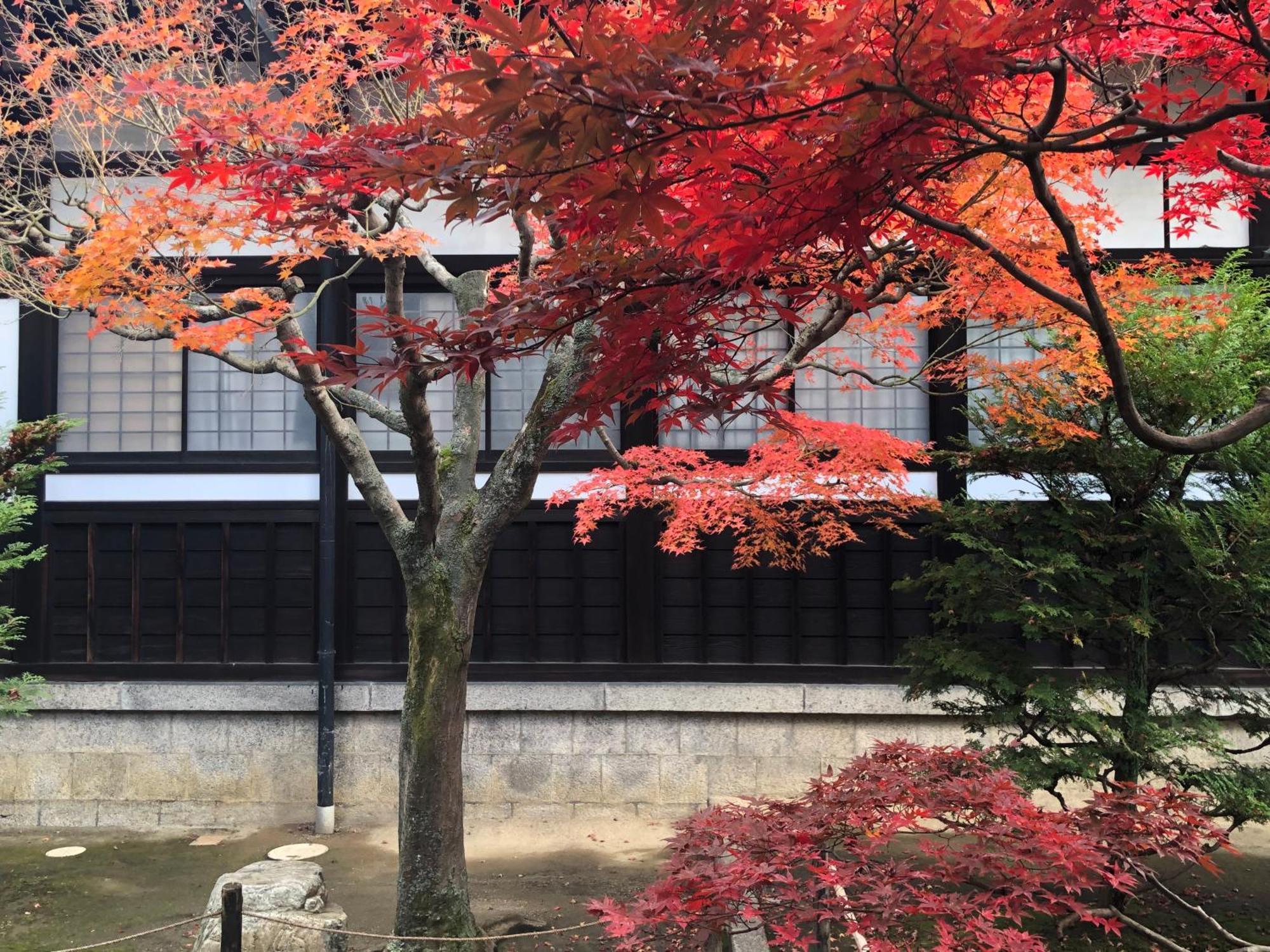 Inari-Home Kyoto Exteriör bild