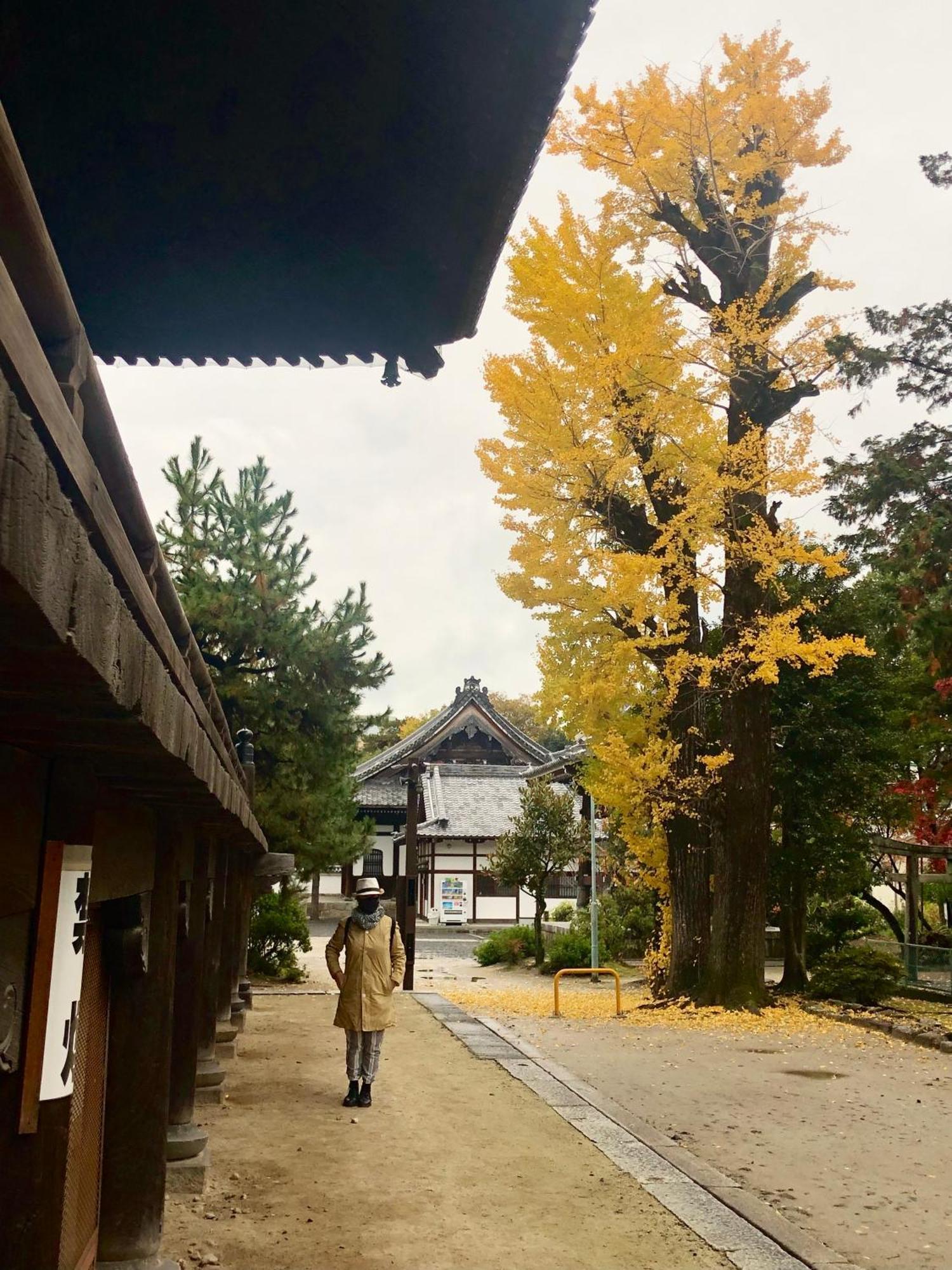 Inari-Home Kyoto Exteriör bild