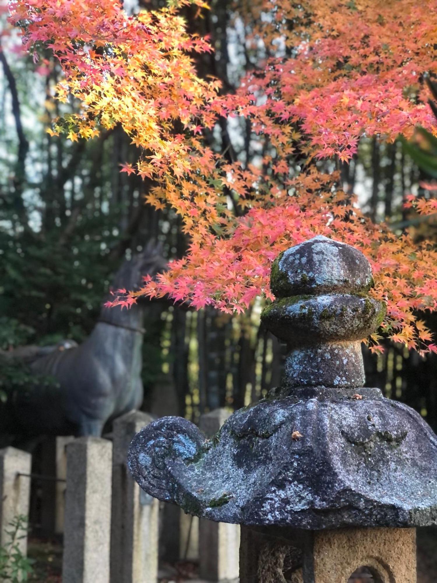 Inari-Home Kyoto Exteriör bild